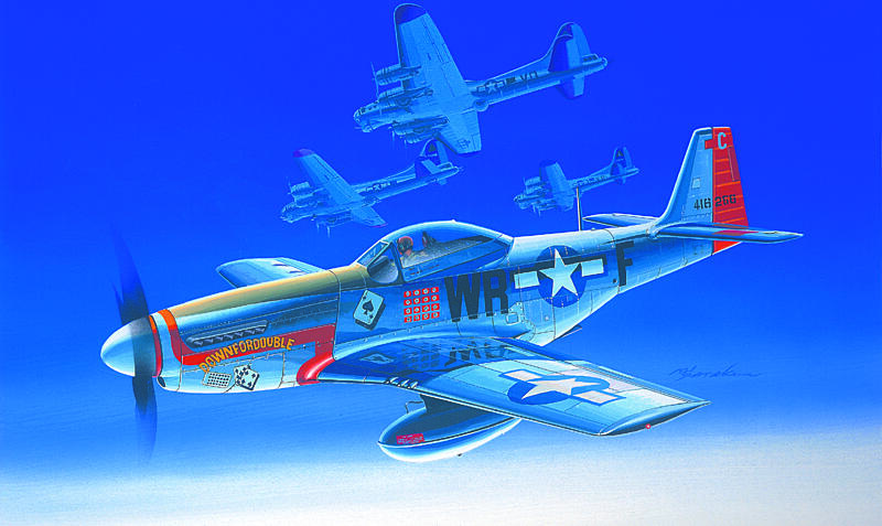 Academy - 12485 - P-51D 1:72